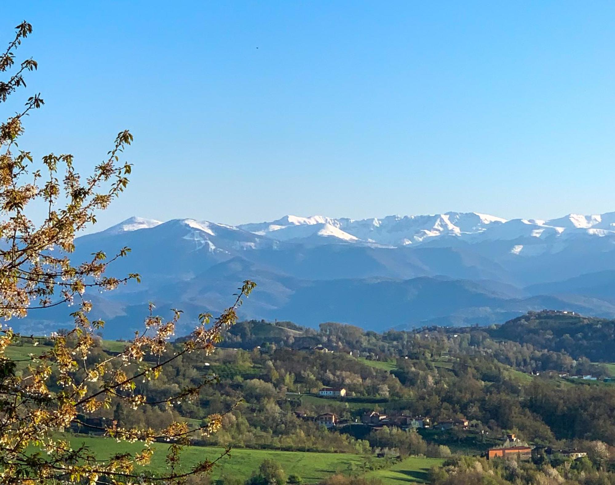 Just Langhe Casa Barolo Villa Novello Exterior foto