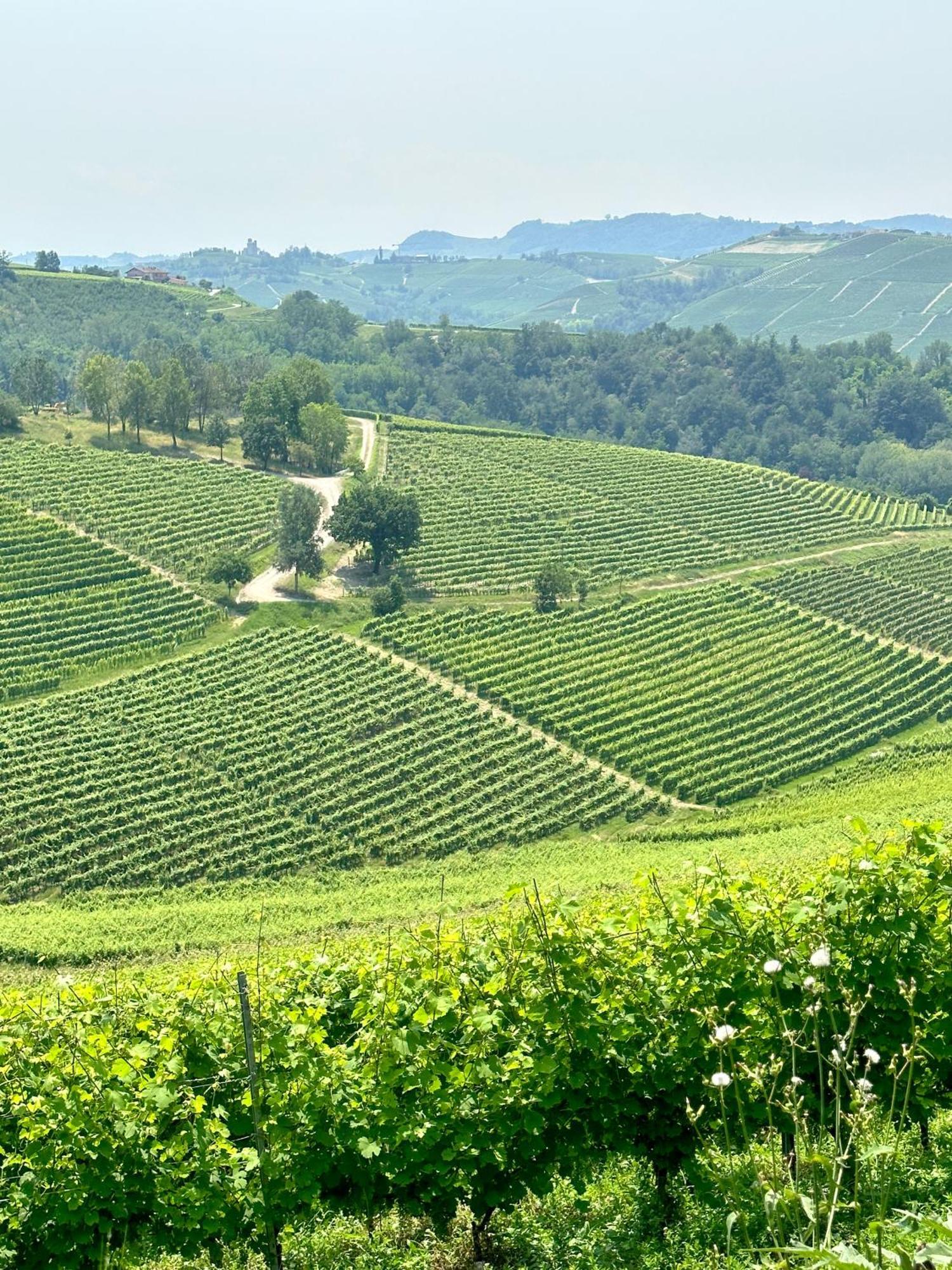 Just Langhe Casa Barolo Villa Novello Exterior foto