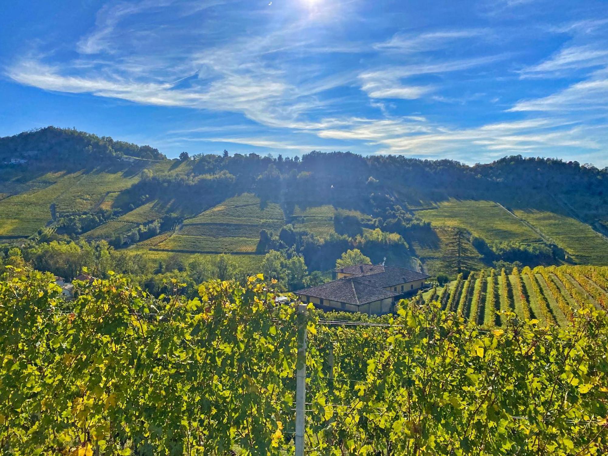 Just Langhe Casa Barolo Villa Novello Exterior foto